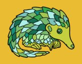 Pangolin