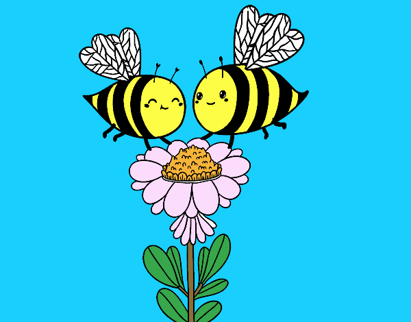 Pareja de abejas