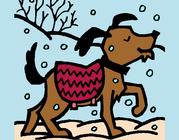 en perro en la nieve