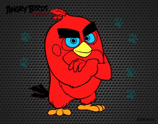 Red de Angry Birds