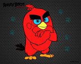 Red de Angry Birds