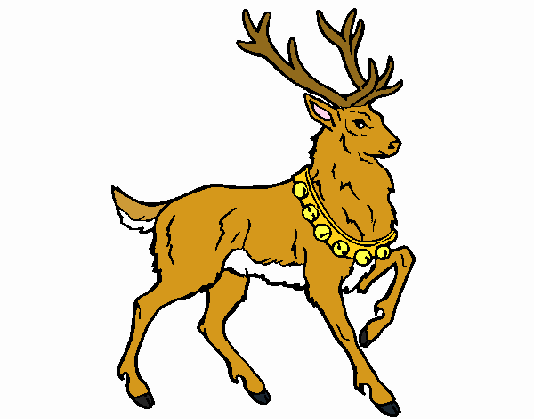 Venado