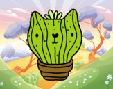 Cactus gato