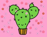 Cactus nopal