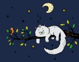 El gato y la luna