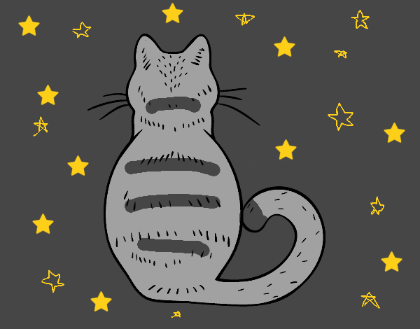 Dibujo de Gato de espaldas pintado por en  el día 14-04-22 a las  21:42:45. Imprime, pinta o colorea tus propios dibujos!