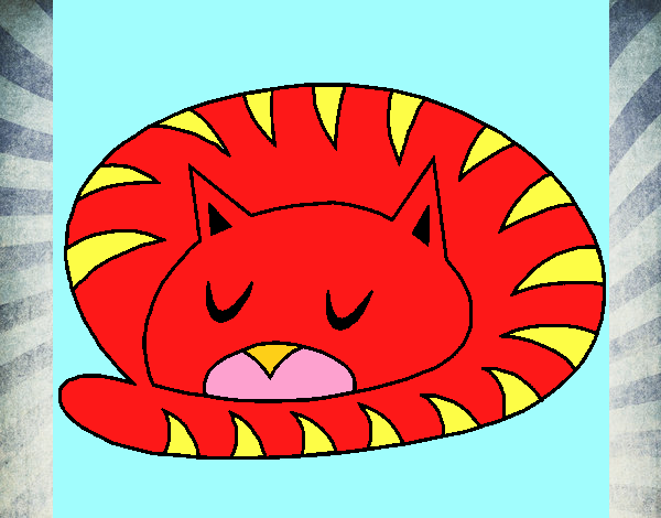 Gato durmiendo