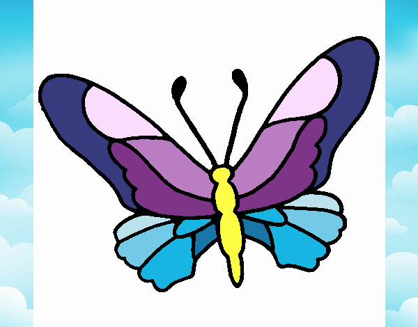 Mariposa