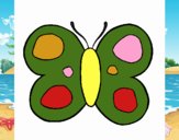 Mariposa 9