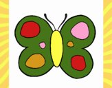 Mariposa 9