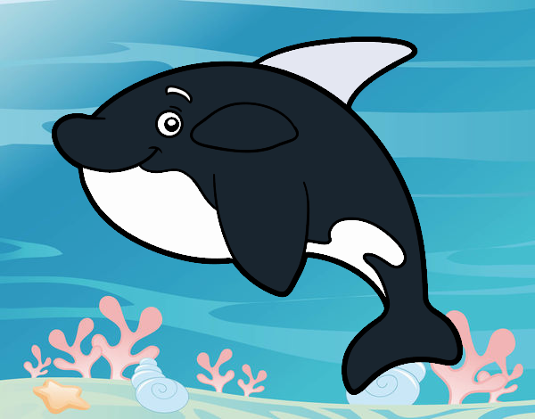 Orca joven