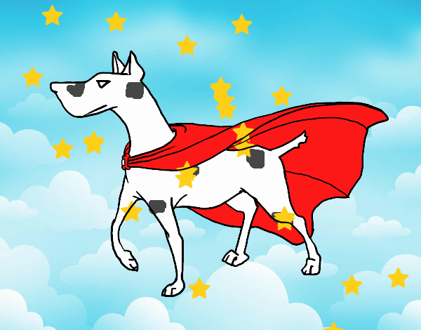 Perro superhéroe