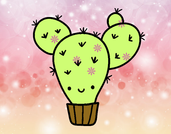 Cactus nopal