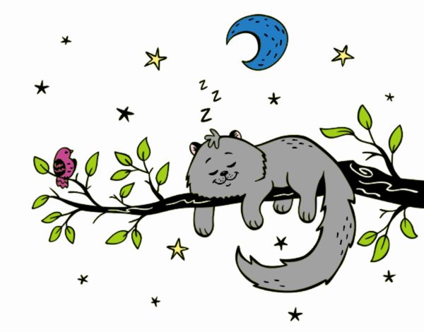 El gato y la luna