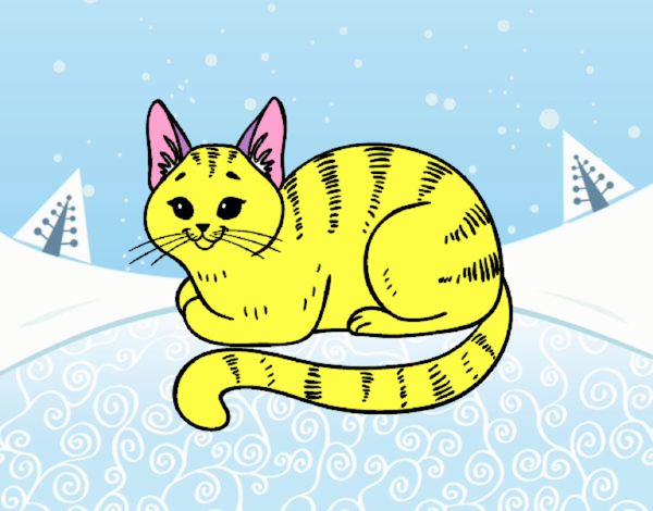 Gatita en la nieve 