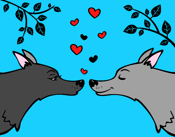 Lobos enamorados