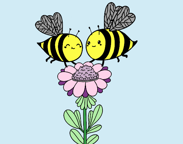 Pareja de abejas