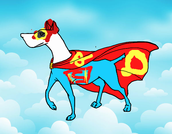 Perro superhéroe