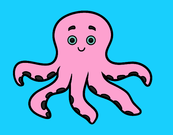 Pulpo infantil