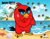 Red de Angry Birds