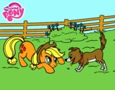 Applejack y Winona