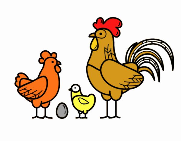 Familia gallina