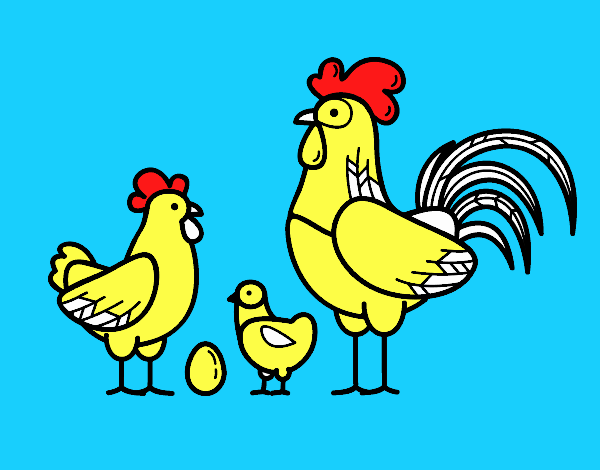 Familia gallina