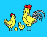 Familia gallina