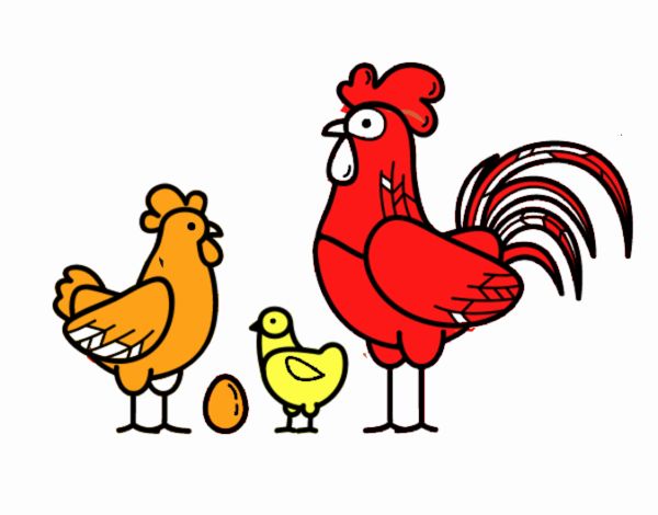 Familia gallina