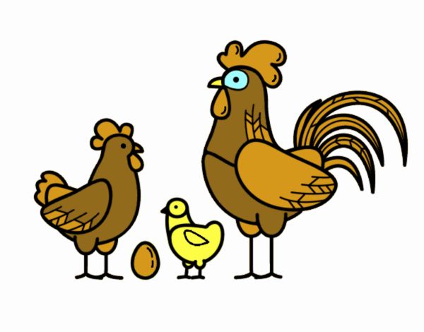 Familia gallina