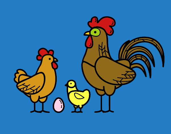 Familia gallina