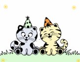 Gatos de cumpleaños