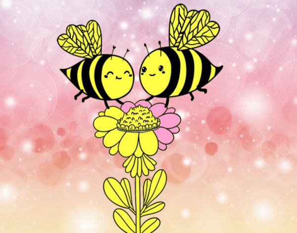 Pareja de abejas