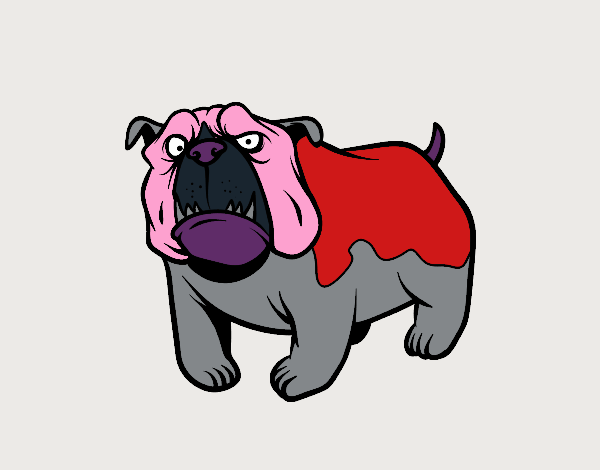 Perro bulldog inglés