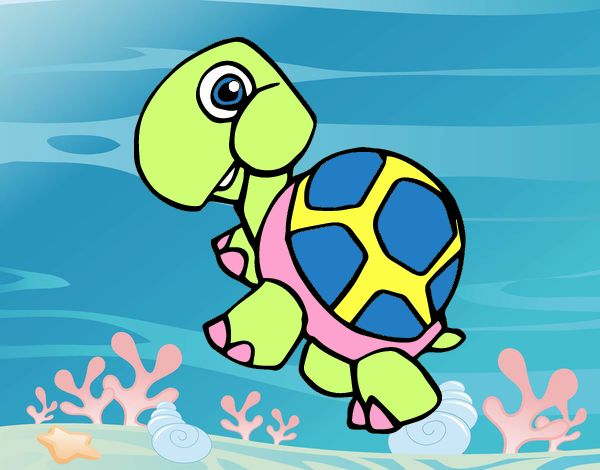 Salven a las tortugas
