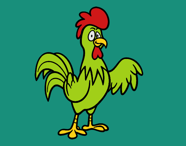 Un gallo de corral