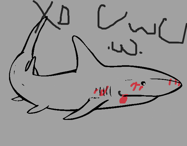 Un tiburón nadando