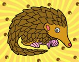 Pangolin