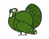 Un pavo