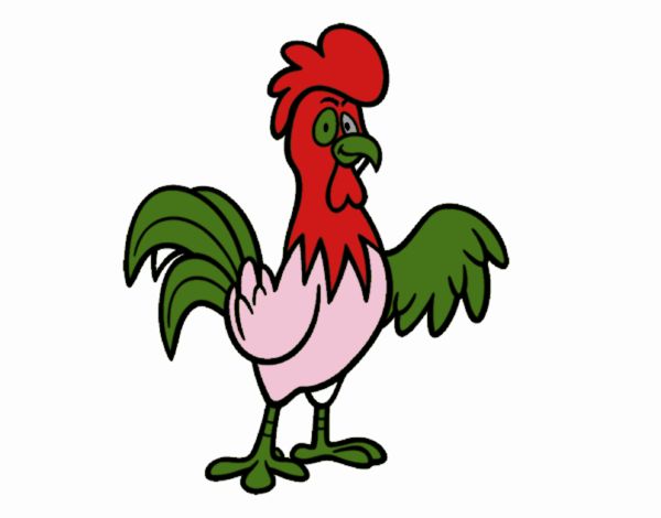 Un gallo de corral