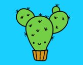 Cactus nopal