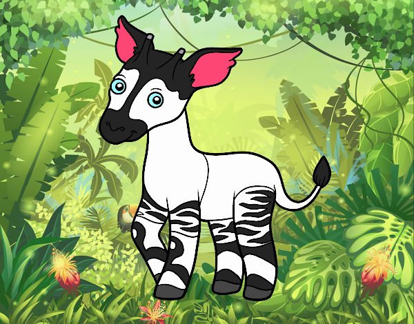 Okapi