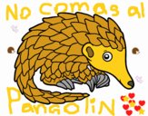 Pangolin