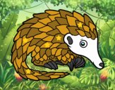 Pangolin