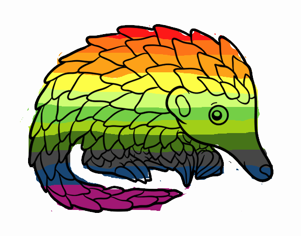 el pangolin de arcoiris