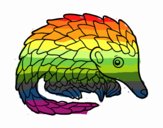 Pangolin