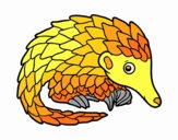 Pangolin