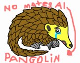 Pangolin