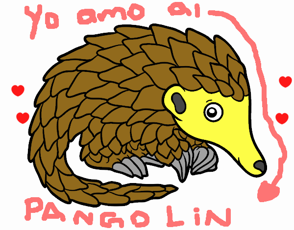 yo amo al pangolin