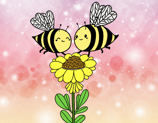 Pareja de abejas